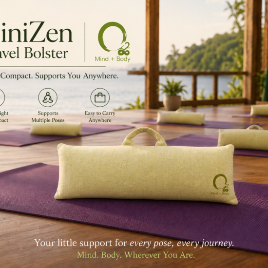 MINIZEN_studio
