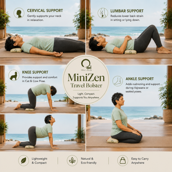 MINIZEN_uses